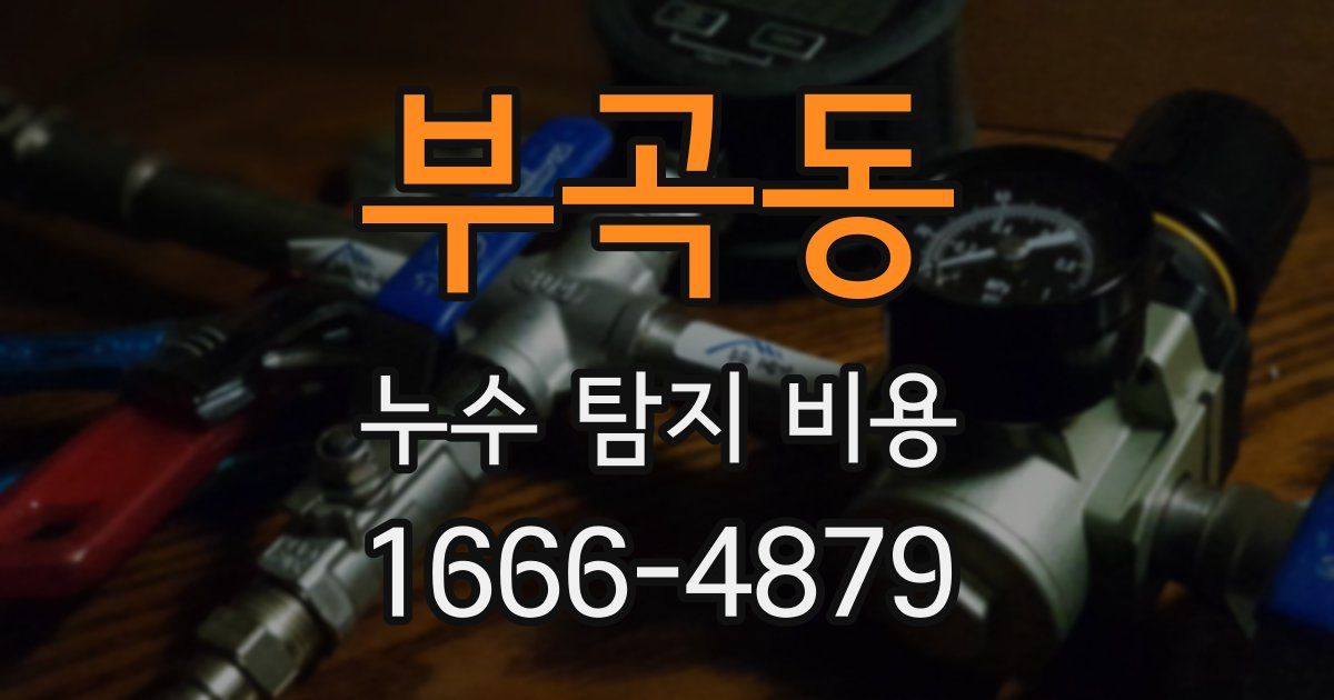 부곡동 누수 탐지 비용
