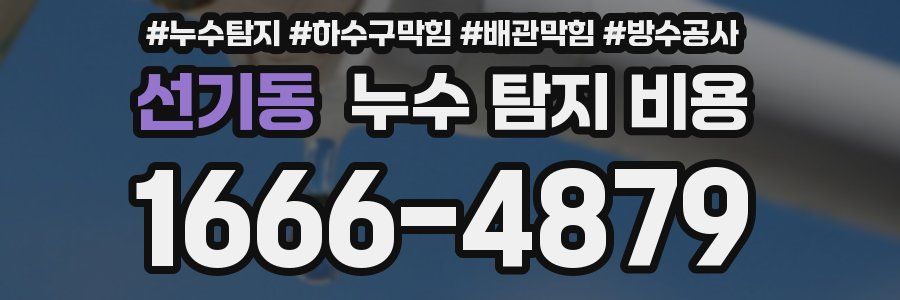 선기동 누수 탐지 비용