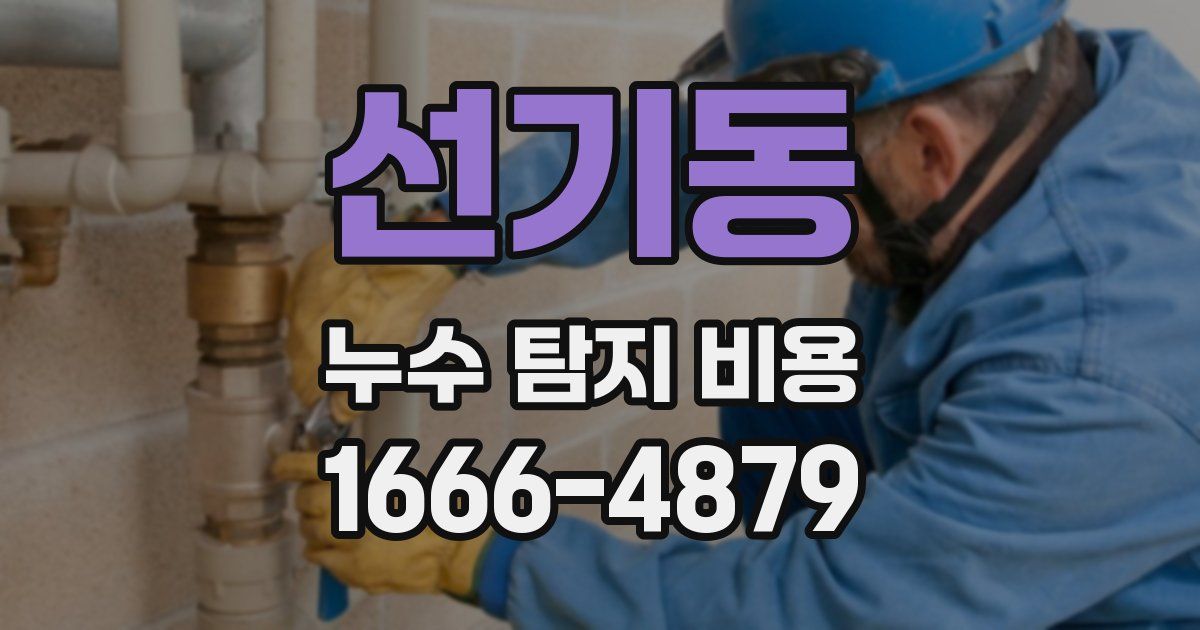 선기동 누수 탐지 비용