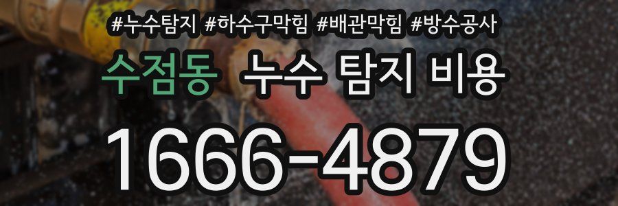 수점동 누수 탐지 비용