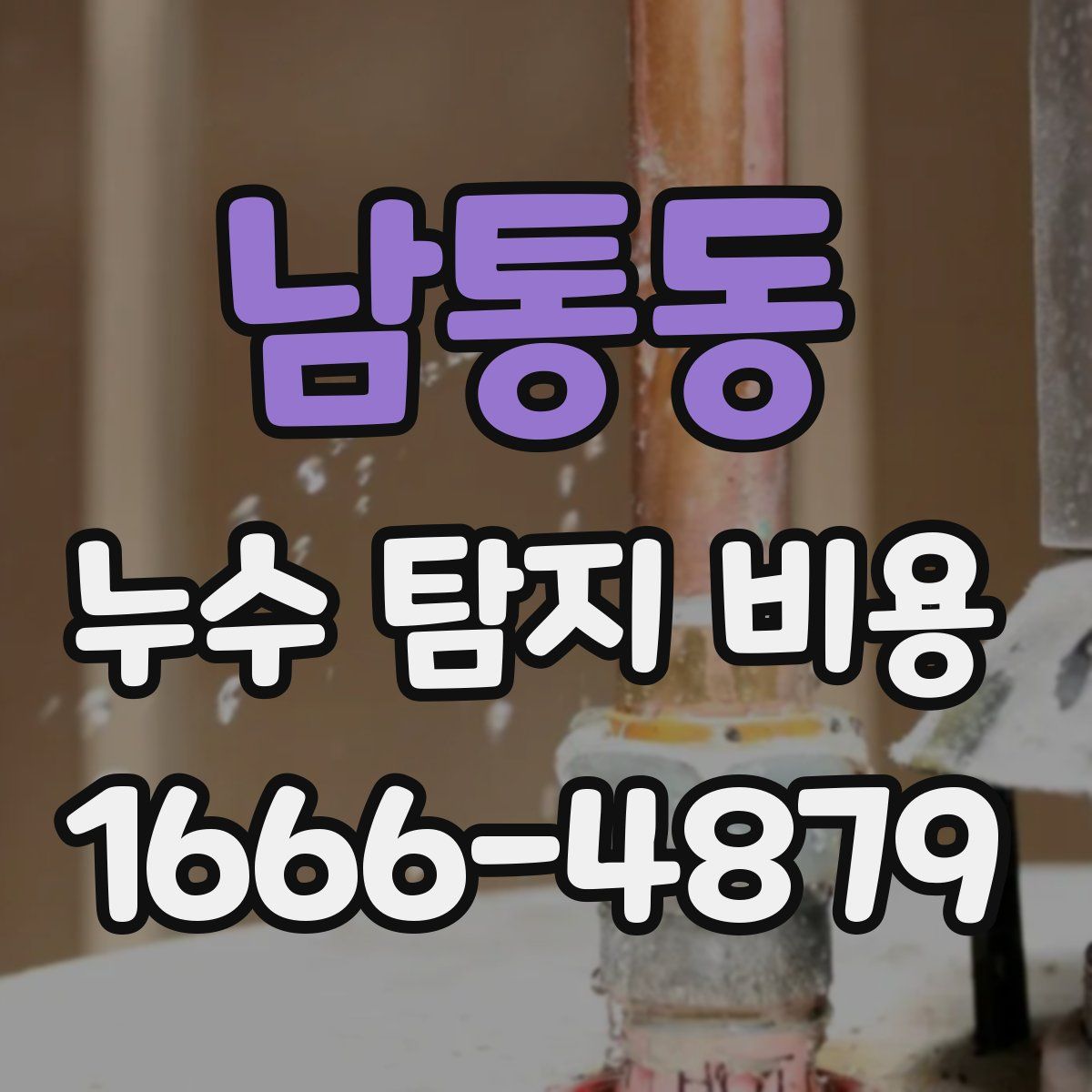 남통동 누수 탐지 비용