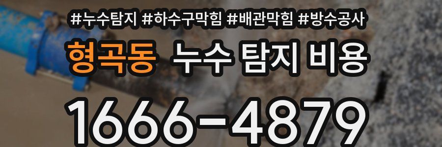 형곡동 누수 탐지 비용