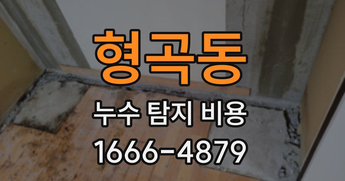 형곡동 누수 탐지 비용