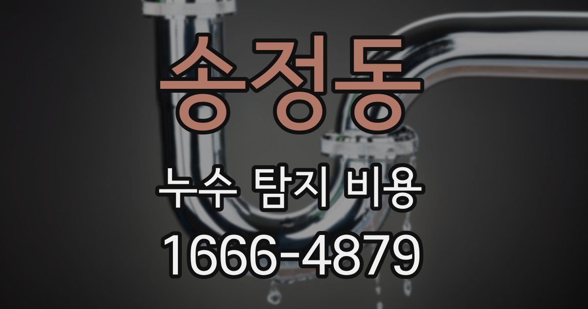 송정동 누수 탐지 비용