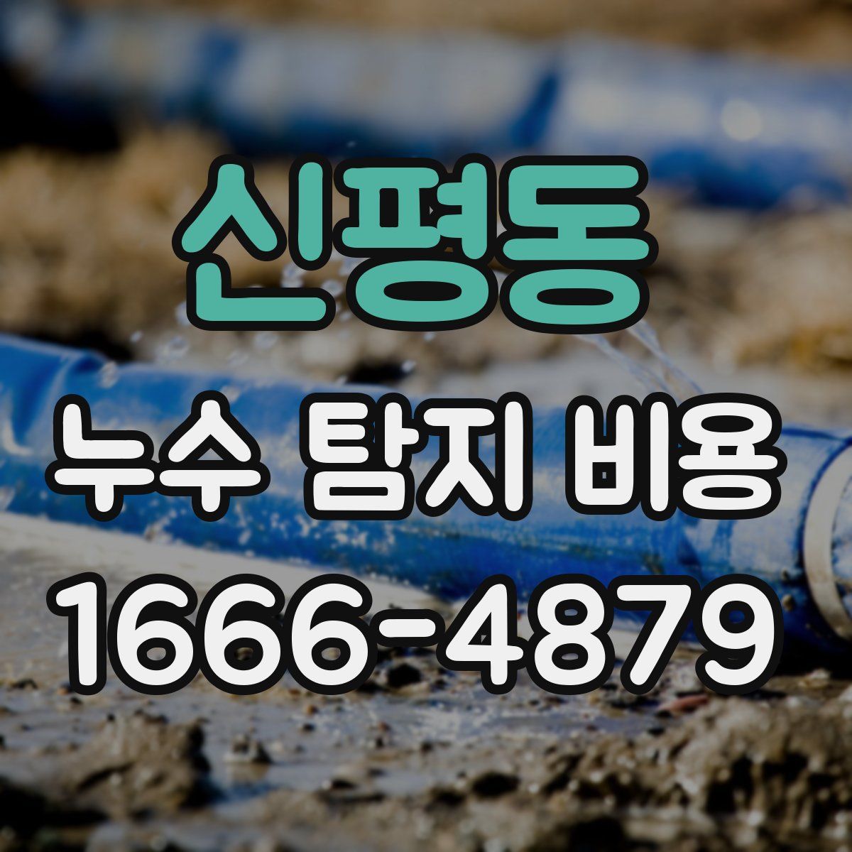 신평동 누수 탐지 비용