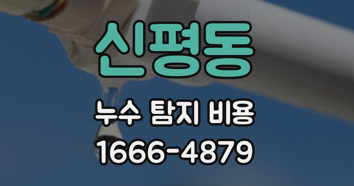 신평동 누수 탐지 비용