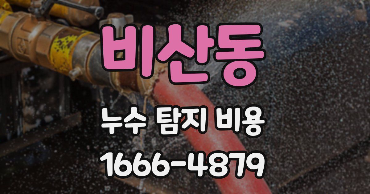 비산동 누수 탐지 비용