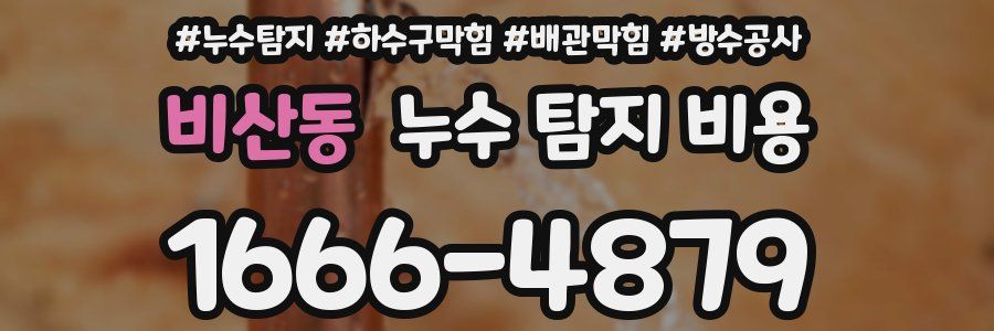 비산동 누수 탐지 비용