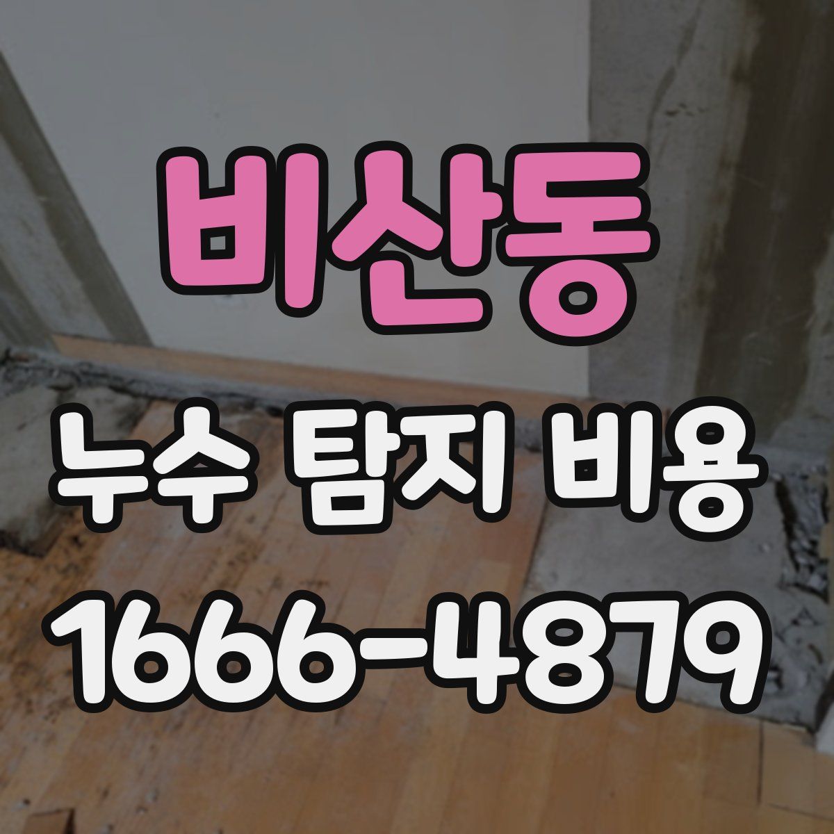 비산동 누수 탐지 비용