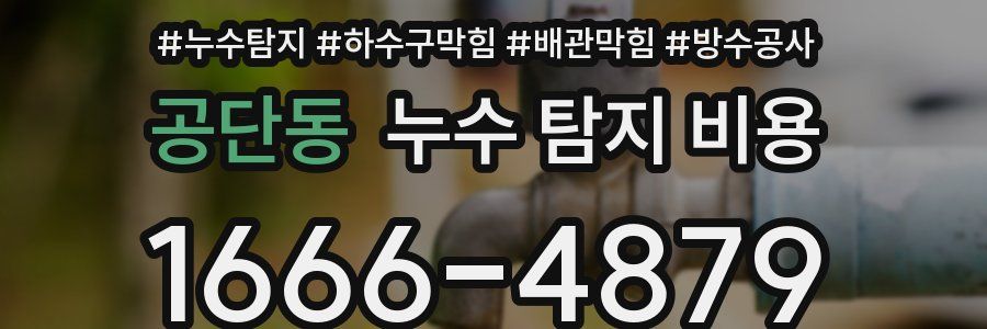 공단동 누수 탐지 비용