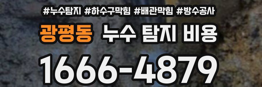 광평동 누수 탐지 비용