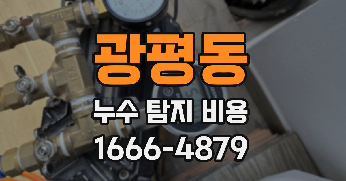광평동 누수 탐지 비용