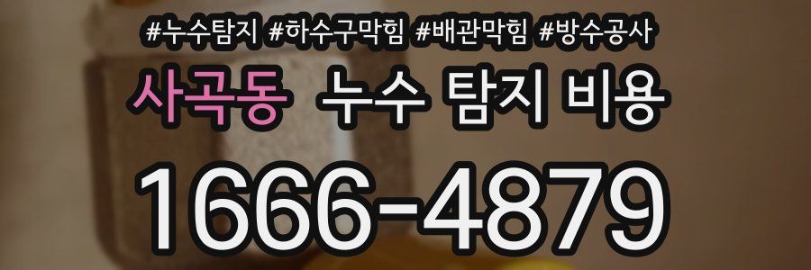 사곡동 누수 탐지 비용