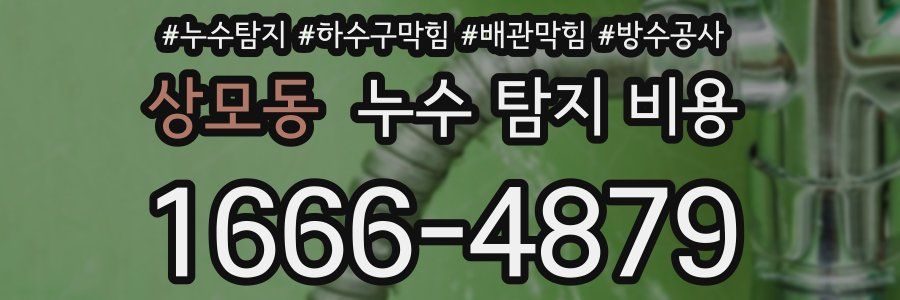 상모동 누수 탐지 비용