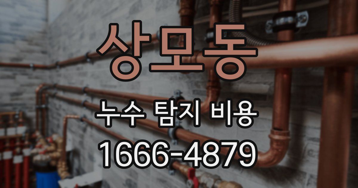 상모동 누수 탐지 비용