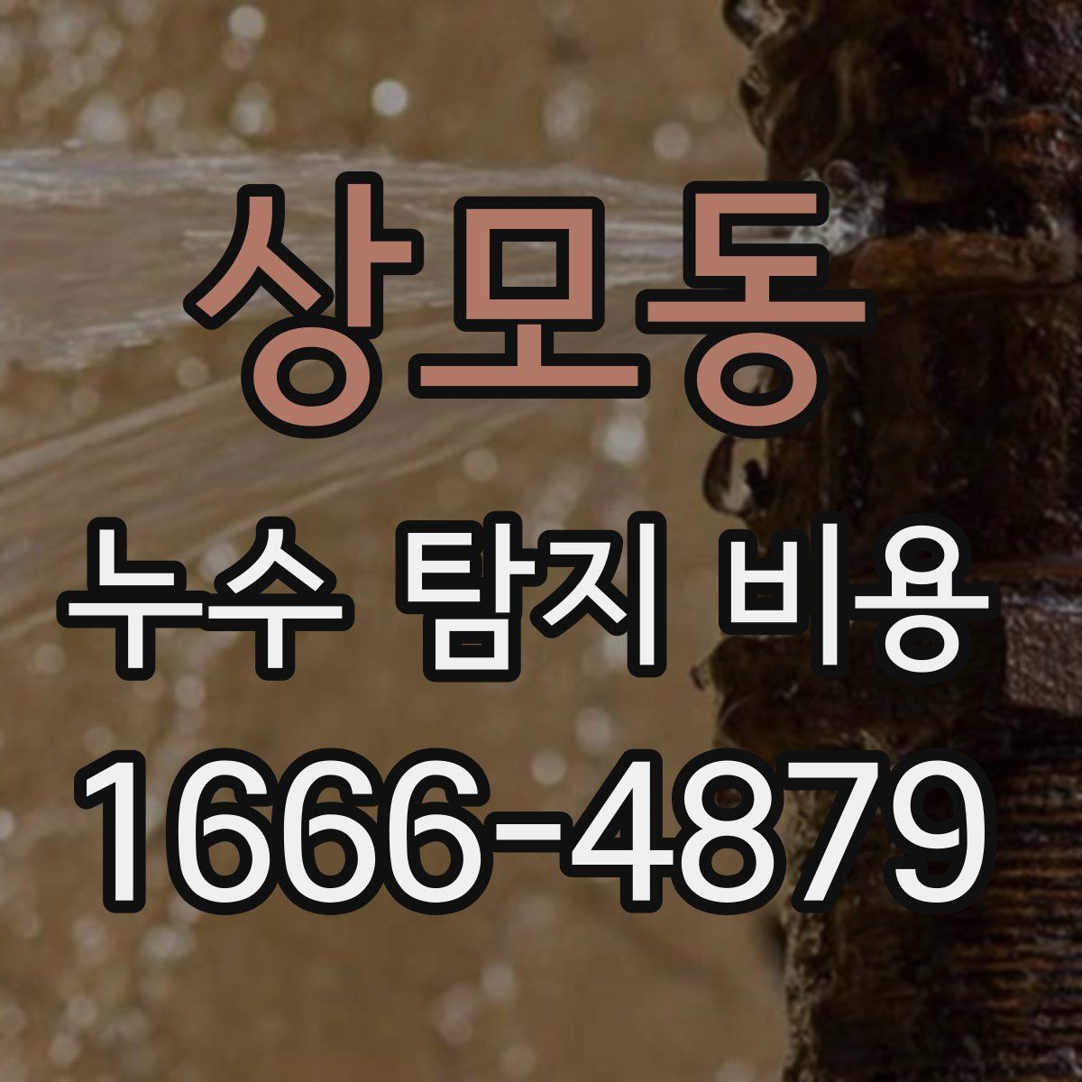 상모동 누수 탐지 비용