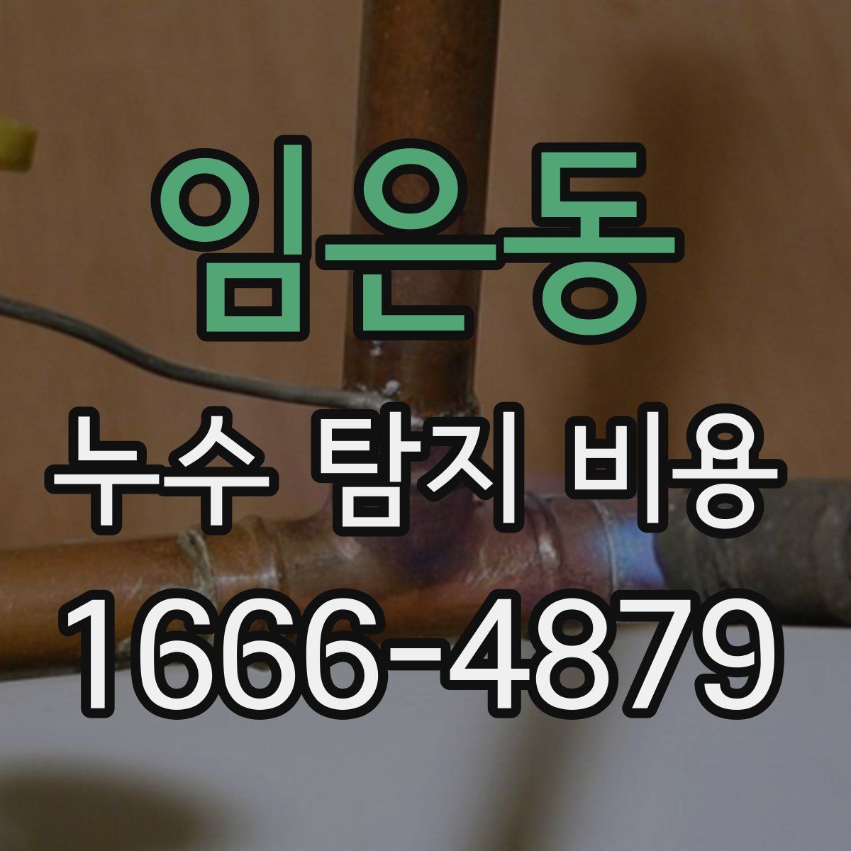 임은동 누수 탐지 비용