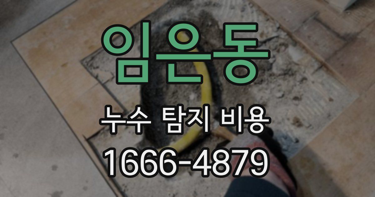 임은동 누수 탐지 비용