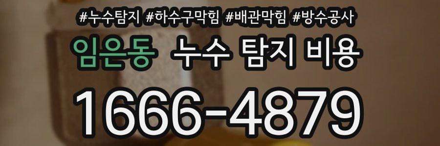 임은동 누수 탐지 비용