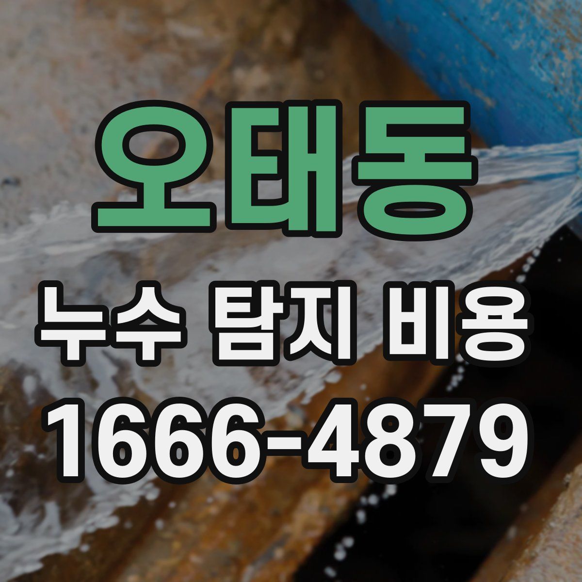 오태동 누수 탐지 비용