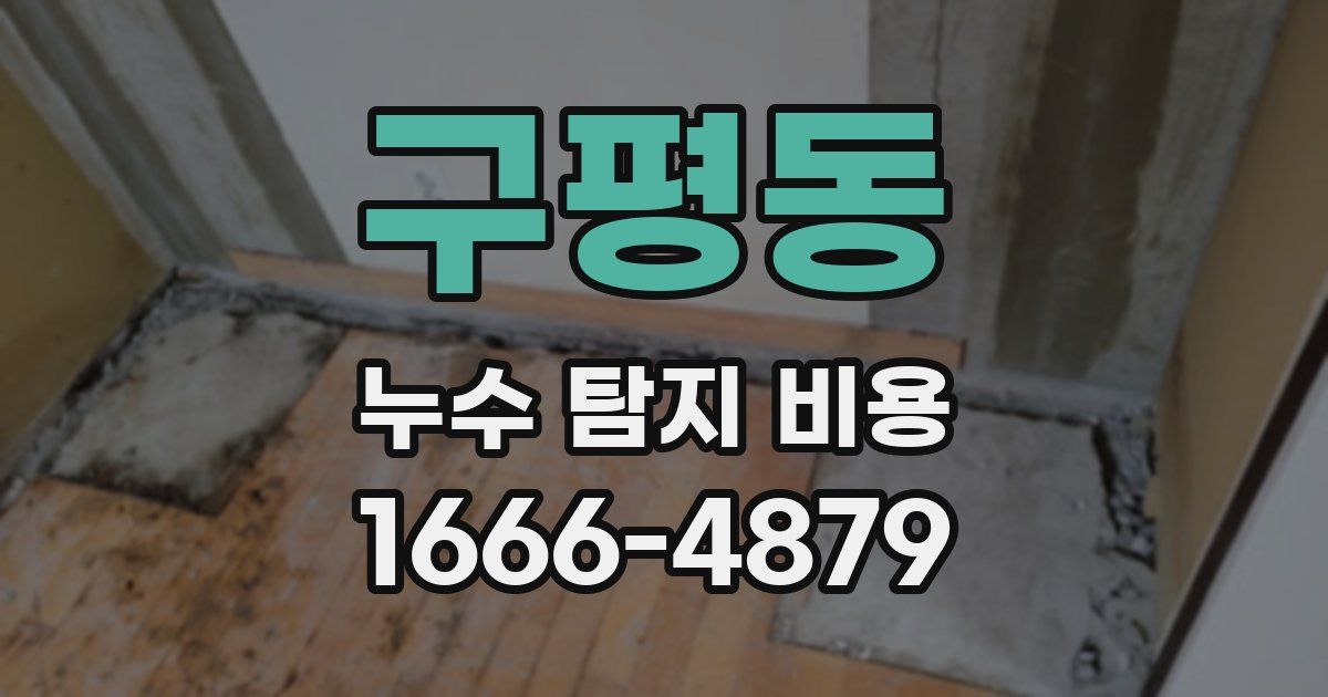 구평동 누수 탐지 비용