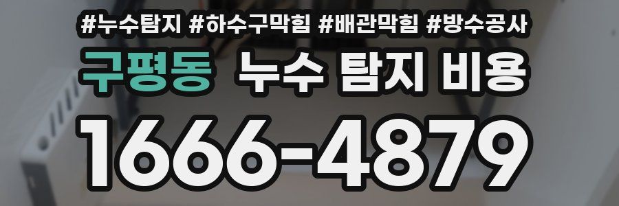 구평동 누수 탐지 비용