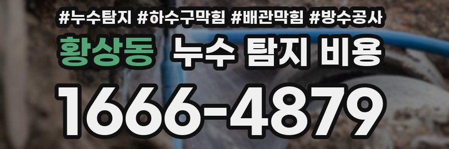 황상동 누수 탐지 비용