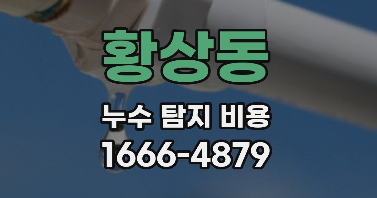 황상동 누수 탐지 비용