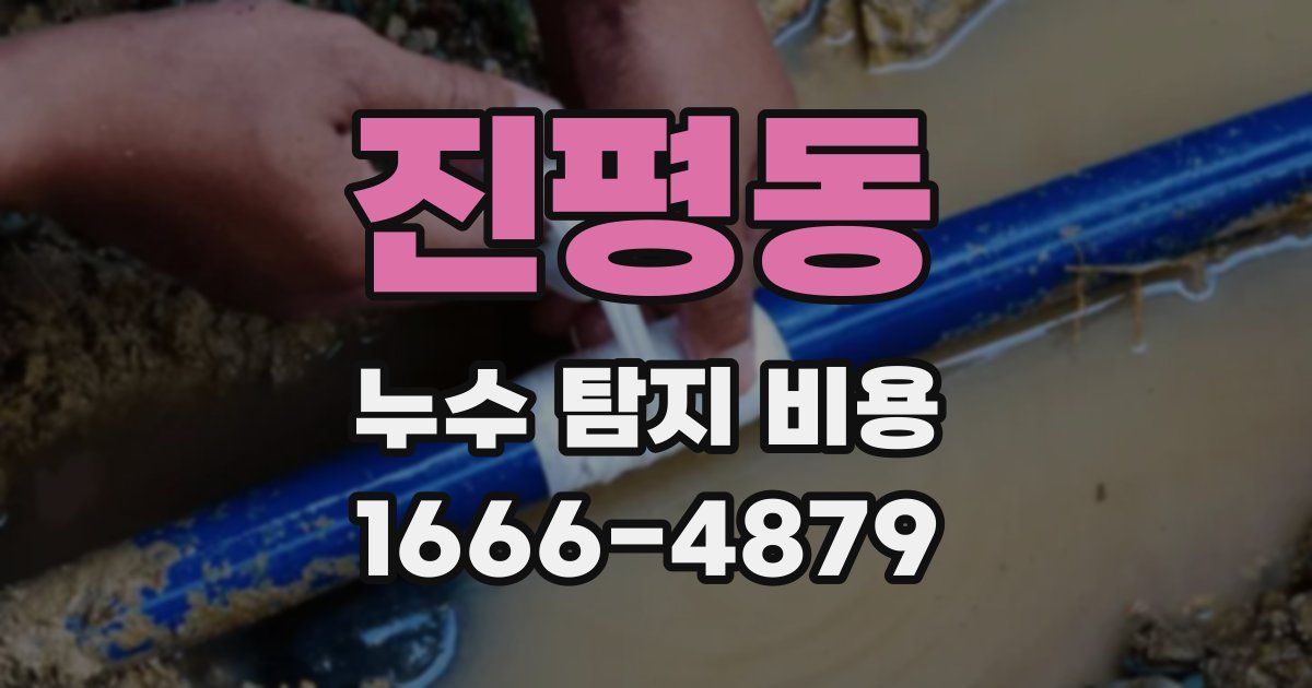 진평동 누수 탐지 비용