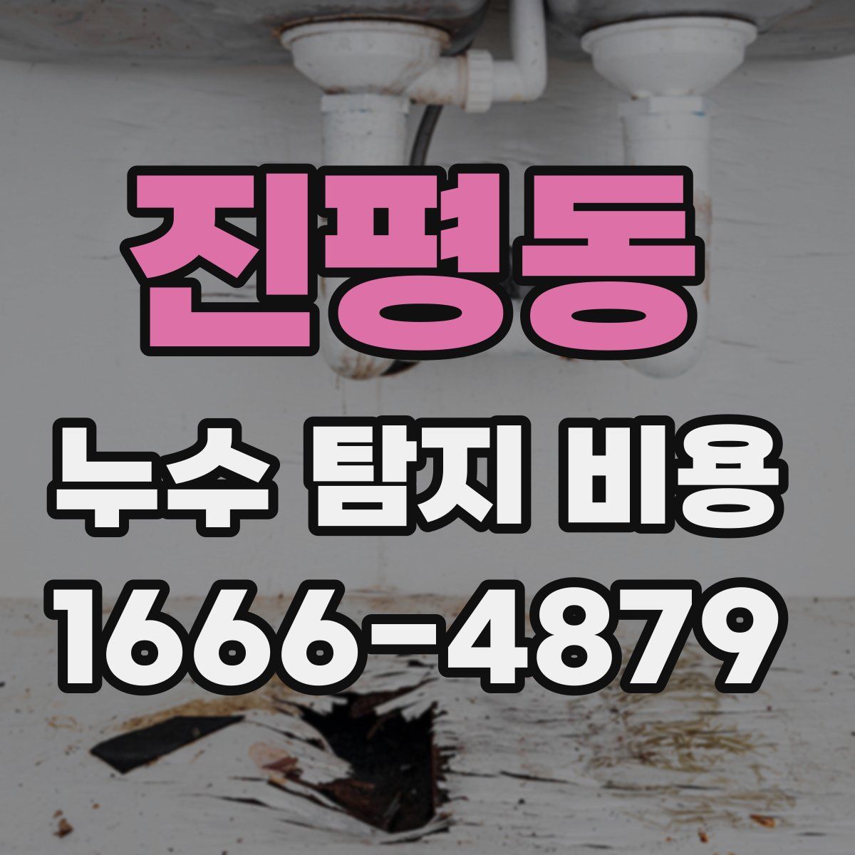 진평동 누수 탐지 비용