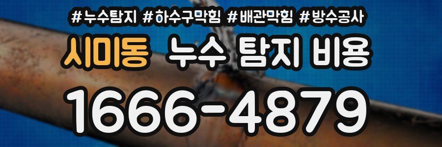 시미동 누수 탐지 비용