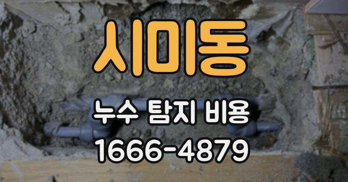 시미동 누수 탐지 비용