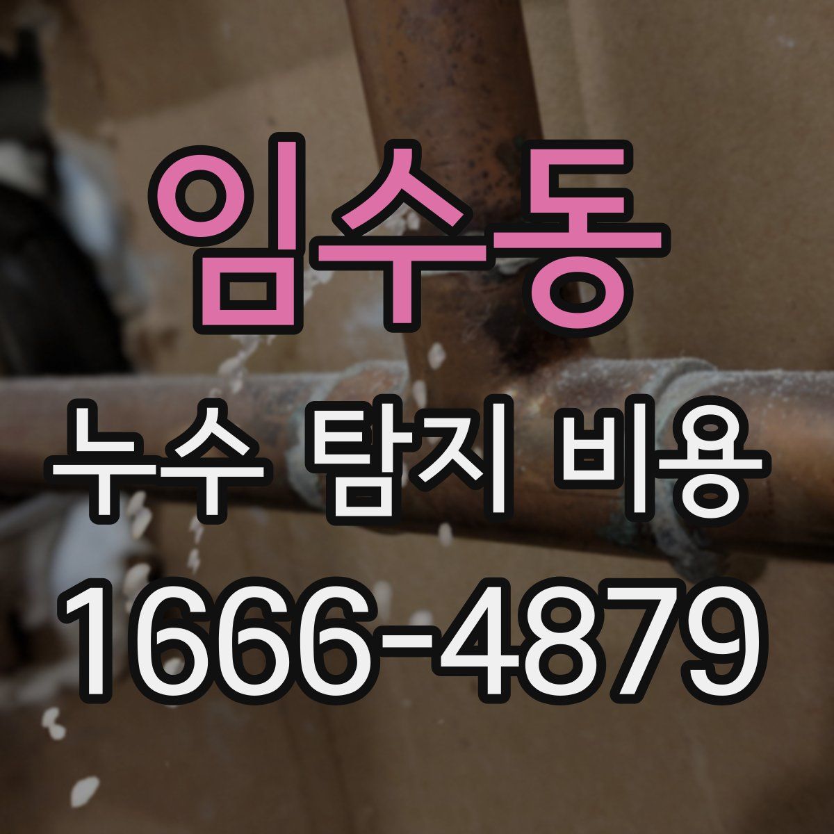 임수동 누수 탐지 비용