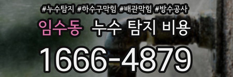 임수동 누수 탐지 비용