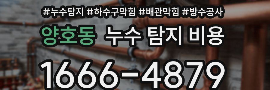 양호동 누수 탐지 비용