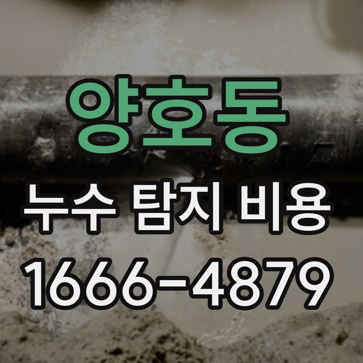 양호동 누수 탐지 비용