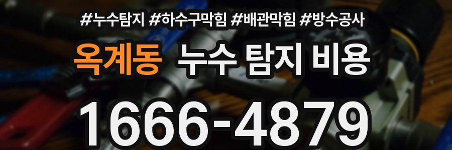 옥계동 누수 탐지 비용