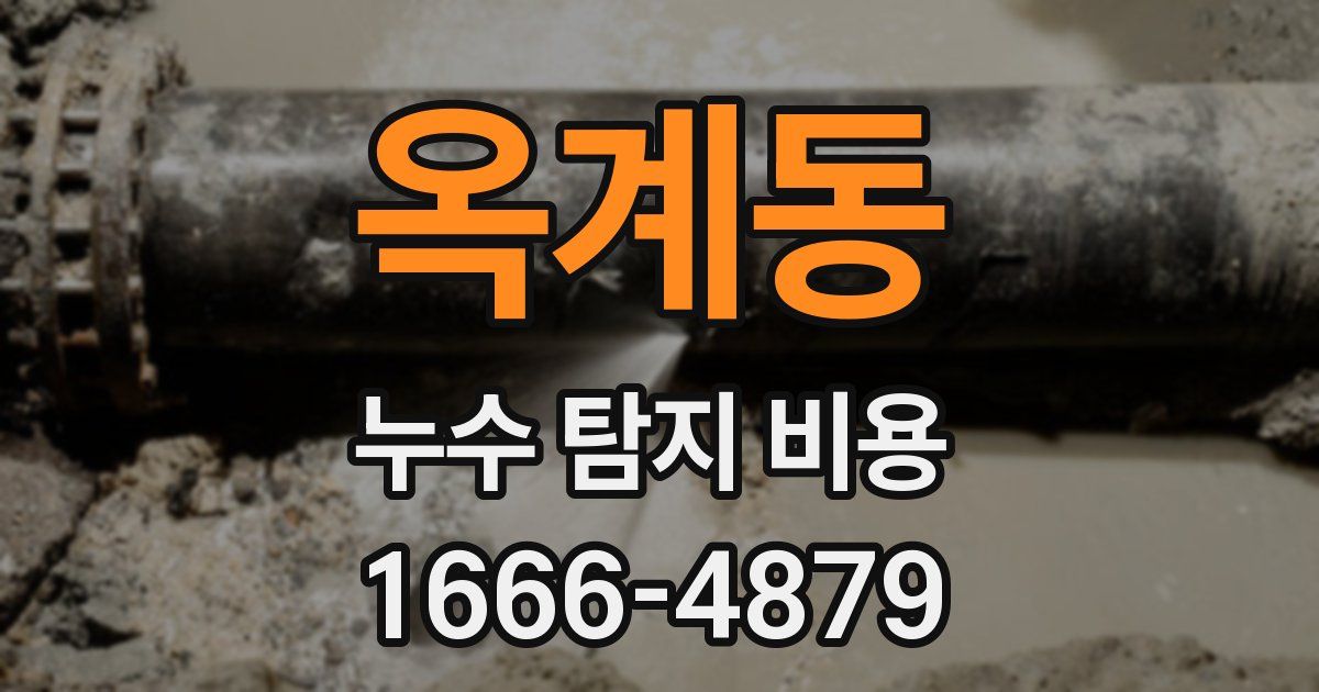옥계동 누수 탐지 비용