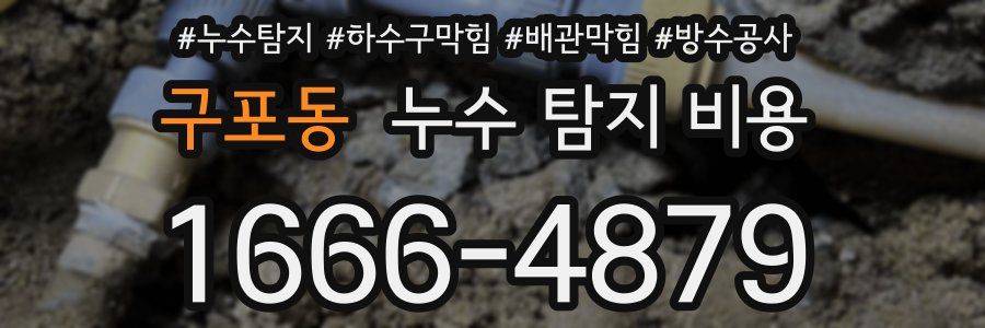 구포동 누수 탐지 비용