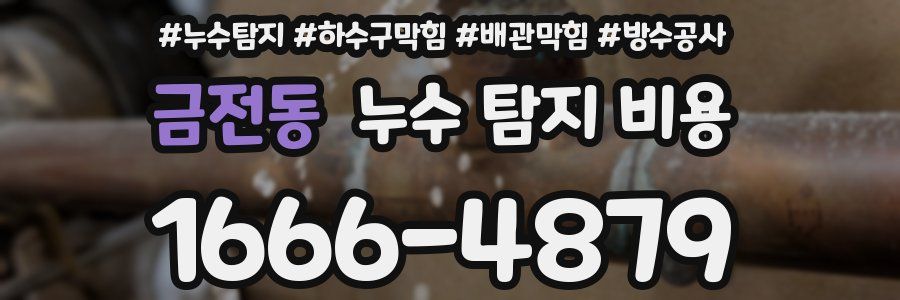 금전동 누수 탐지 비용