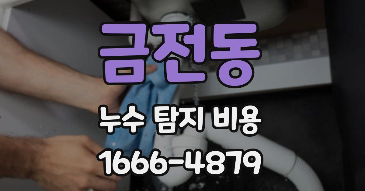 금전동 누수 탐지 비용
