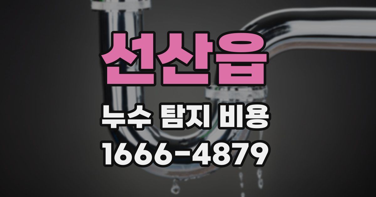 선산읍 누수 탐지 비용