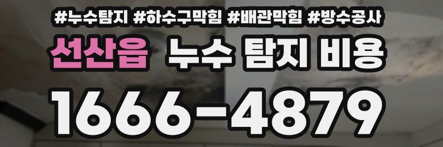선산읍 누수 탐지 비용