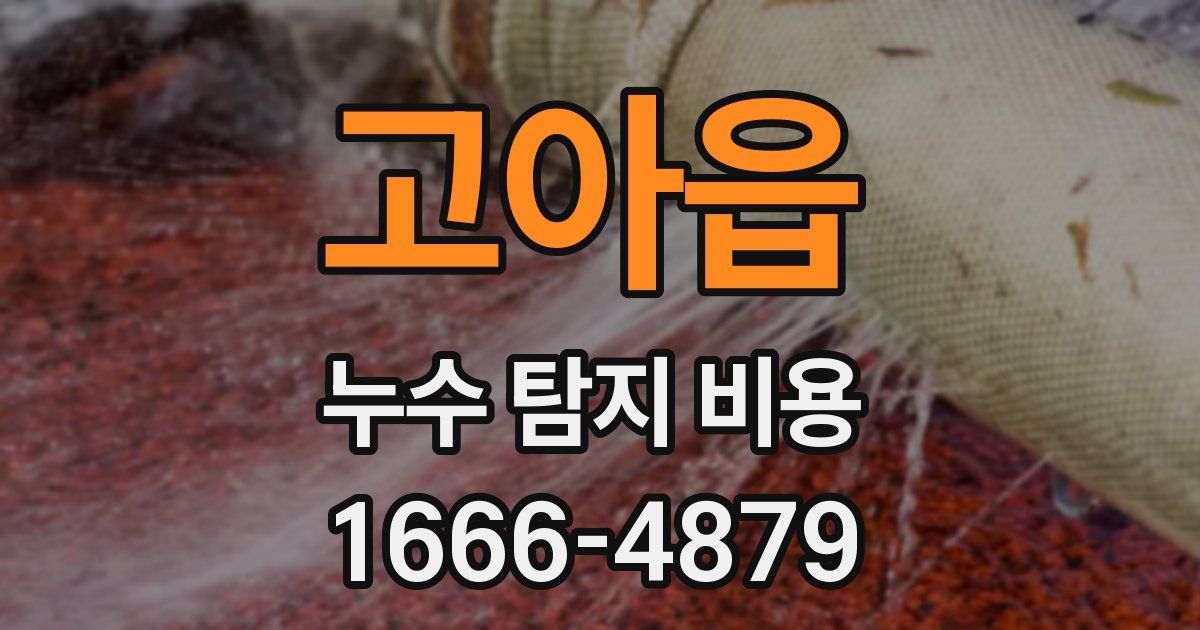 고아읍 누수 탐지 비용