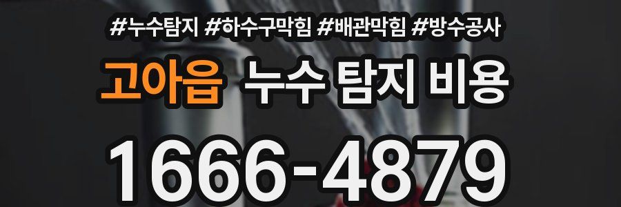 고아읍 누수 탐지 비용