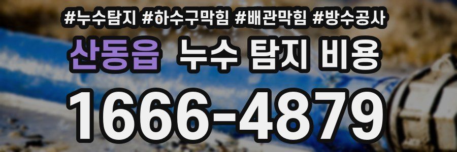 산동읍 누수 탐지 비용