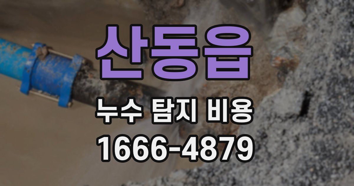 산동읍 누수 탐지 비용