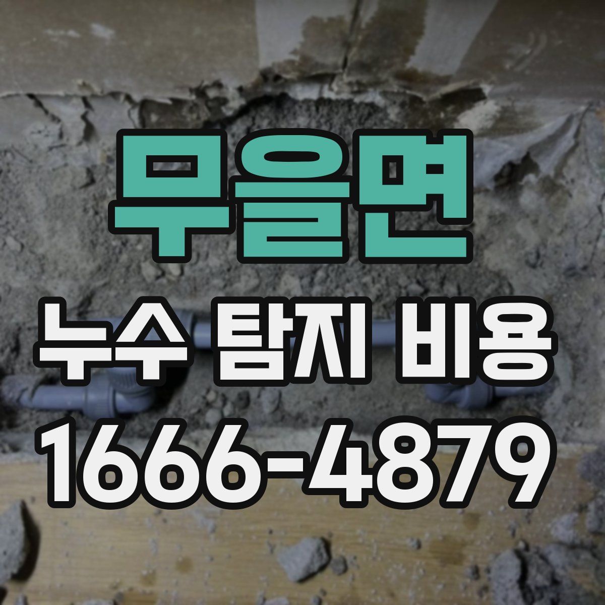 무을면 누수 탐지 비용