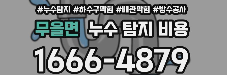 무을면 누수 탐지 비용