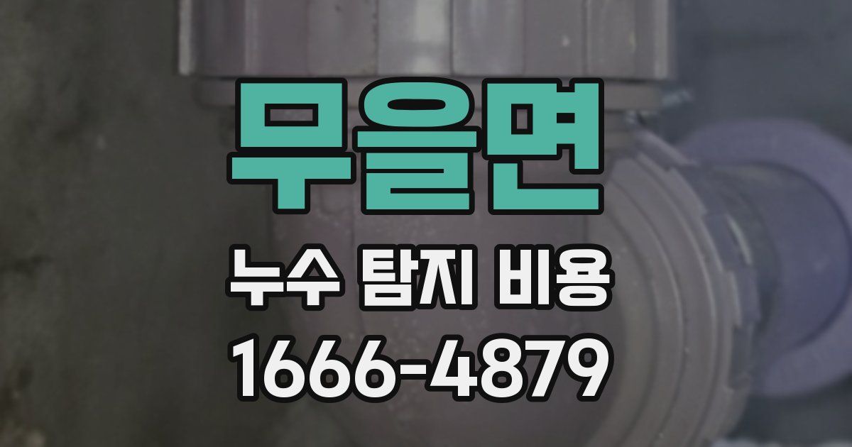 무을면 누수 탐지 비용